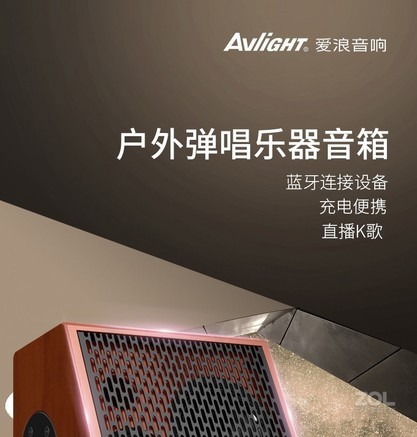 爱浪 爱浪EX81-06 音箱产品图片
