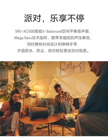 索尼SRS-XG300 - 图片 6