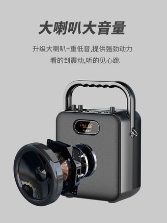 埠帝S18 典雅黑U段版一拖二+双无线话筒U - 图片 6