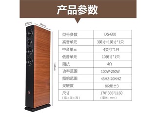 丹麦之笙JY550 JY-550主箱（8寸侧低音） - 图片 5