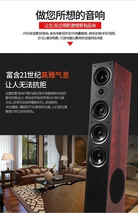 丹麦之笙JY550 JY-550主箱（8寸侧低音） - 图片 6