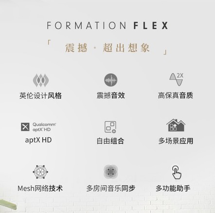 B＆W（宝华韦健）Formation Flex 标准 - 图片 2