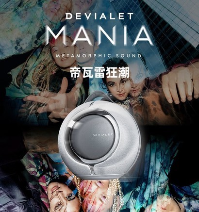 帝瓦雷 帝瓦雷狂潮 音箱产品图片