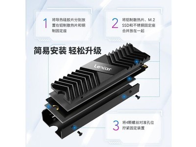 雷克沙 Lexar(雷克沙)LPAH100RNBNG 标准 散热器产品图片