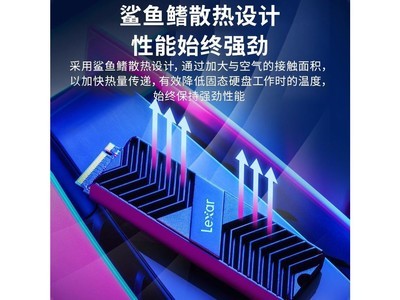 Lexar（雷克沙）LPAH100RNBNG 标准 - 图片 3