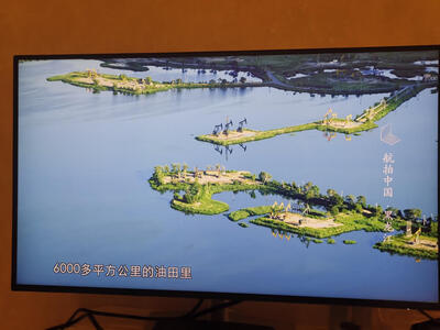 戴尔D2720DS - 图片 2
