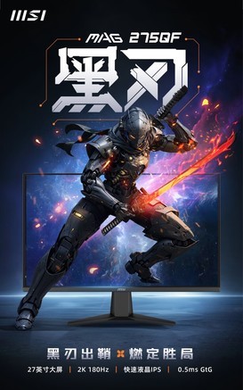 微星MAG401QR - 图片 7