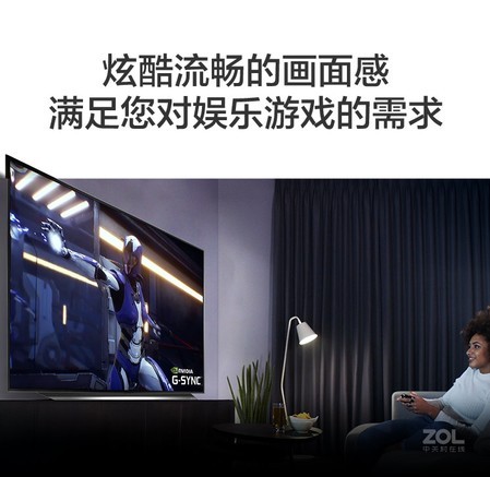 LG LG OLED48CXPCA 显示器产品图片
