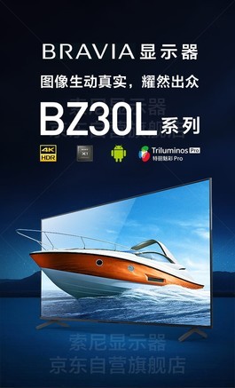 索尼FW-50BZ30L - 图片 7