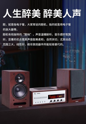 Philips（飞利浦）PHILIPSTAM8208/93 音响套装+支架 - 图片 7