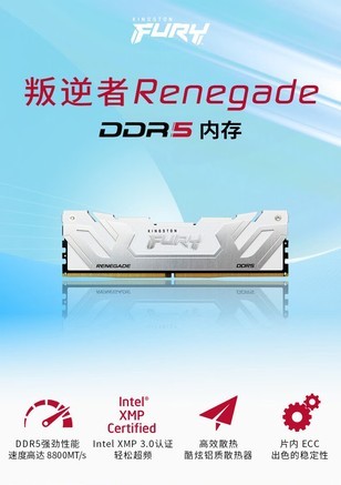 金士顿FURY 叛逆者Renegade 48GB（2×24GB） DDR5 8400 白色 - 图片 7
