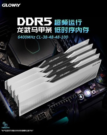 Gloway（光威）龙武系列 DDR5 6400 32GB（16GB×2）镁光颗粒 - 图片 7
