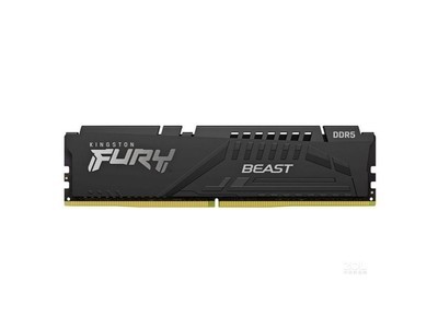 金士顿FURY 叛逆者Renegade DDR5 6800 32GB(16GBx2) 白色款 - 图片 4